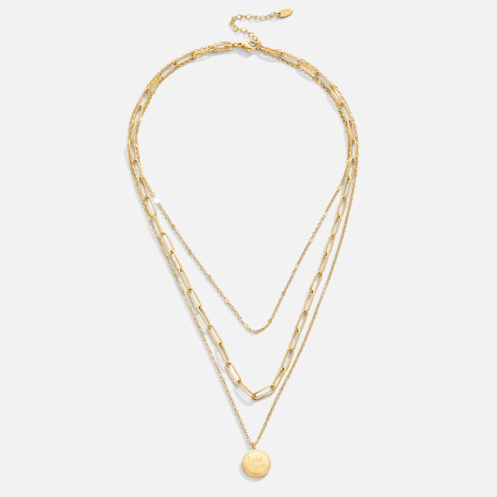 Coin Layered Necklace